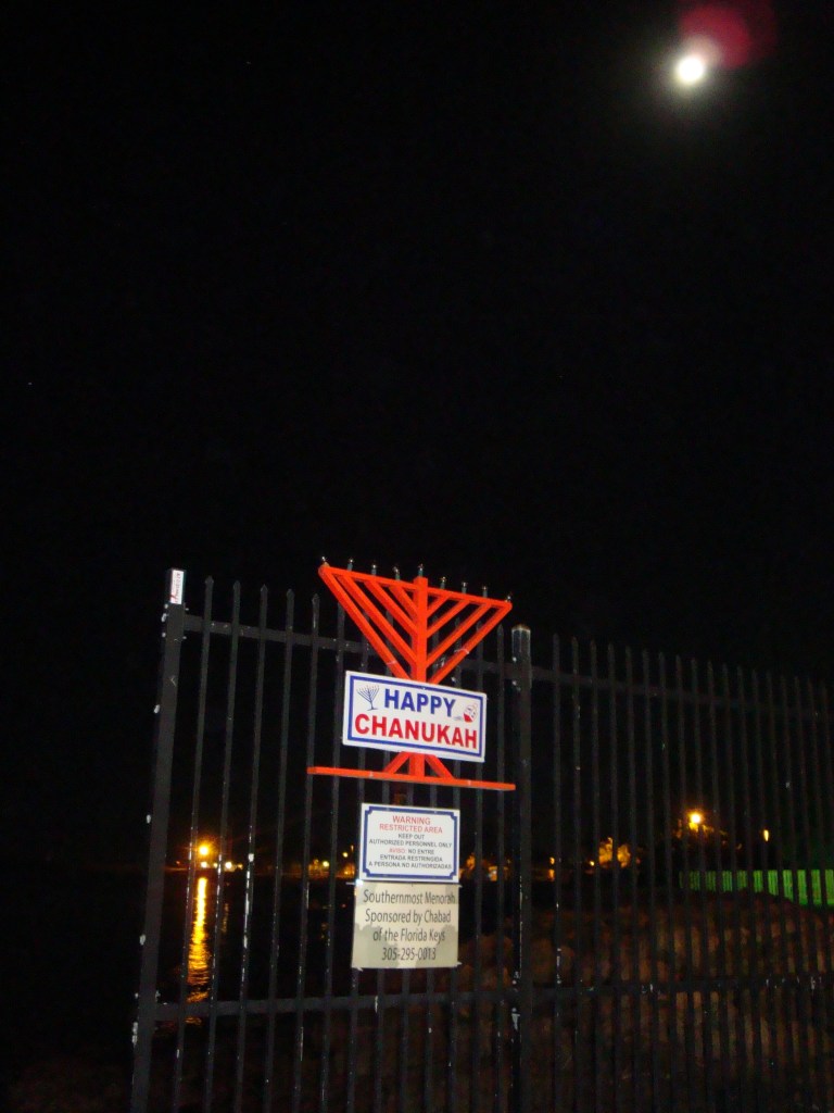 DSC09732