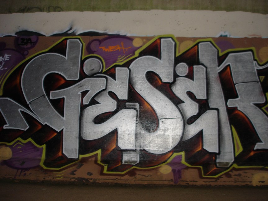 DSC00581