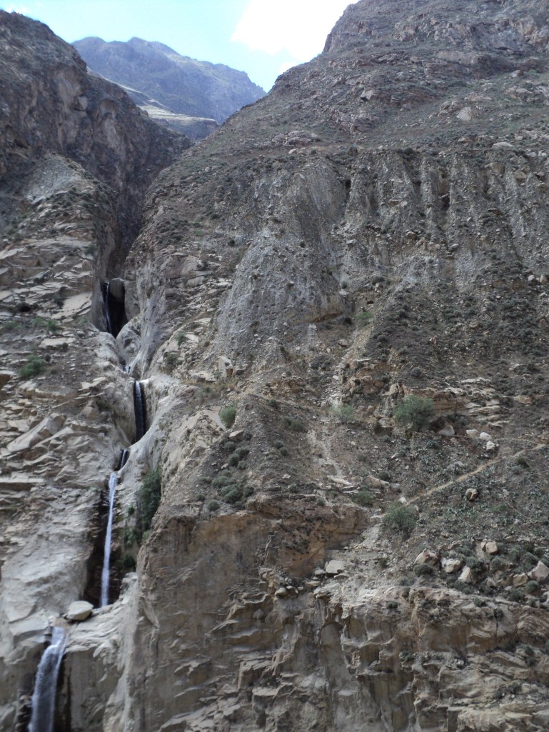 DSC00441