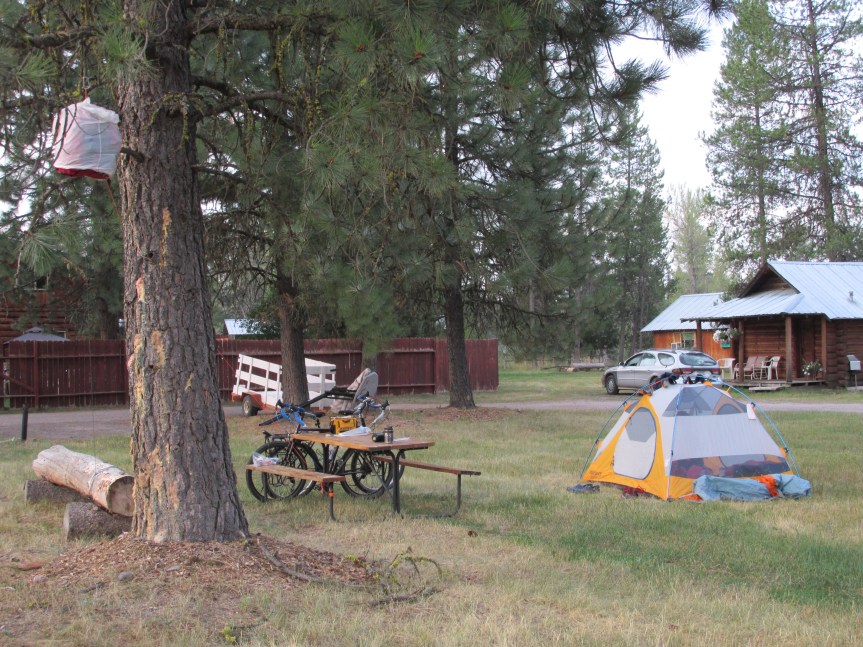 IMG_0338